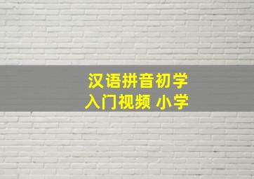 汉语拼音初学入门视频 小学